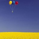 내 마음을 풍선에 이미지