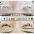 아트앤라인 이미지