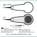 수송용 바이오 연료 엔진기술 이미지