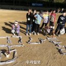 방카센타 이미지