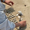 서포리관광지 이미지