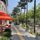 3M 사잇길 이미지