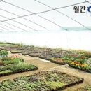 경희한나무한의원 이미지