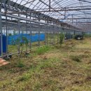 서홍농장 이미지