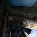 두성세차장 이미지