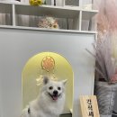 간식세끼 이미지
