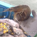 기호수산 이미지