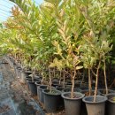 기현2농장 이미지