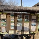 초원의 언덕 | 춘천 아이와 가볼만한곳 해피초원목장 동물먹이체험 방문후기