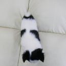 이개누구개 이미지