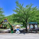 미로정원 이미지