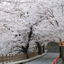 평사리공원2 이미지