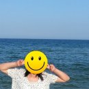 생활양재 초급 이미지