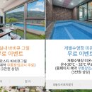 리버노스 B 네이버블로그
