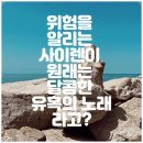 율리시스의 배 이미지