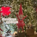 거북이 타코야끼 | 잠실 롯데 크리스마스 마켓 | 패스트패스 예약 솔직 후기 데이트 코스 추천