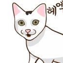 코고미식당