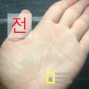 이혜원 파운데이션-리원 진동 브러쉬 GS홈쇼핑 구입 후기