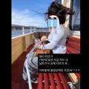 새푸른약국 | 시드니 여행 🇦🇺🦘🐨 1,2일차