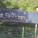첫물내기야영장 | [캠핑16]첫물내기 캠핑장 여름휴가 3박4일! A13,14