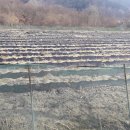 가평땅부동산중개사무소 이미지