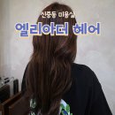 베티헤어 이미지