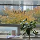아름다운:연헤어
