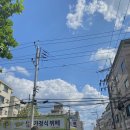 어도러블플라워 이미지