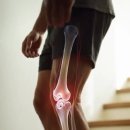 라이프짐 휘트니스 이미지