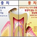 드림치주과치과의원 이미지