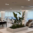 오목천동 장애인 주간보호시설 | 인천 부평 구월동 주간보호 센터 우리집 주간보호센터 여기가 시설 제일 좋아요