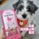 핑크강아지 | [강아지 간식 추천] 츄르 맛집 조공의 신상! &lt;🌸오키로스틱 핑크🌸&gt; 강아지 츄르 후기