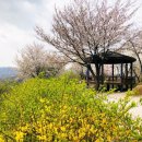 앞산공원 이미지