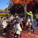 구미초등학교 병설유치원 이미지