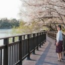 월아마을회관 | 2019.04.06. 진주 금산 금호못. 진주 금산 복사꽃.