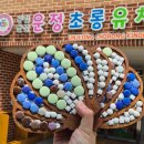 운정초롱유치원 이미지