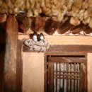 DOLL HOUSE 이미지