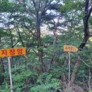 운제산등산로 화장실 이미지