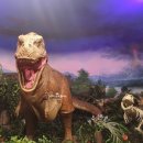 참빗 2호점 | [서울] 실내 놀거리&amp;볼거리 강력 추천! <롯데월드 민속박물관> 칭찬 후기