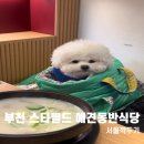 부천 스타필드 애견동반 식당 서울깍두기 맛집 다녀온 후기