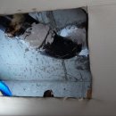 오수철물점 이미지