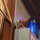 GoGoSing | 두더지 | 부산양정술집 부산양정맛집 방문후기