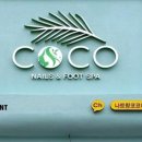토이네일 네이버블로그