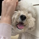 카페하루시다