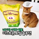 친환경농업연구소 화장실 | 고양이카사바모래 추천, 사막화없는 친환경 모래 더스트몬 토탈솔루션