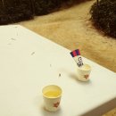 김옥자 흑두부보쌈 이미지