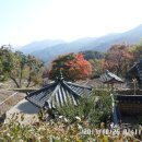 삼성궁 이미지
