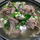 황칠오리 이미지