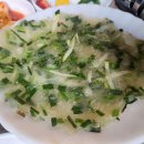 소나무가든 Daum카페