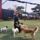 보람동 복합커뮤니티센터 다목적 강당 이미지